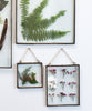 Hanging Double Sided Glass Picture Frame