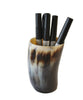 Horn Pencil Cup