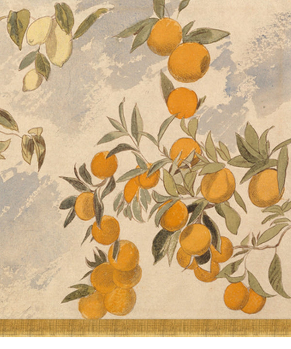 April Citrus Tree