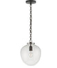 Large Katie Acorn Pendant, Clear Glass with Bronze