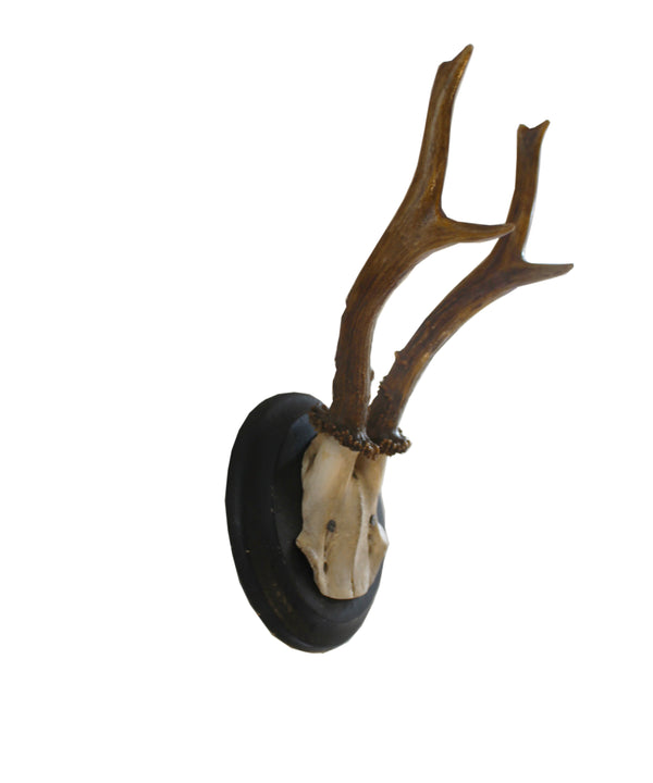 Vintage Petite German Antlers