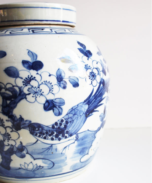 Blue & White Ginger Jar, 10" Birds