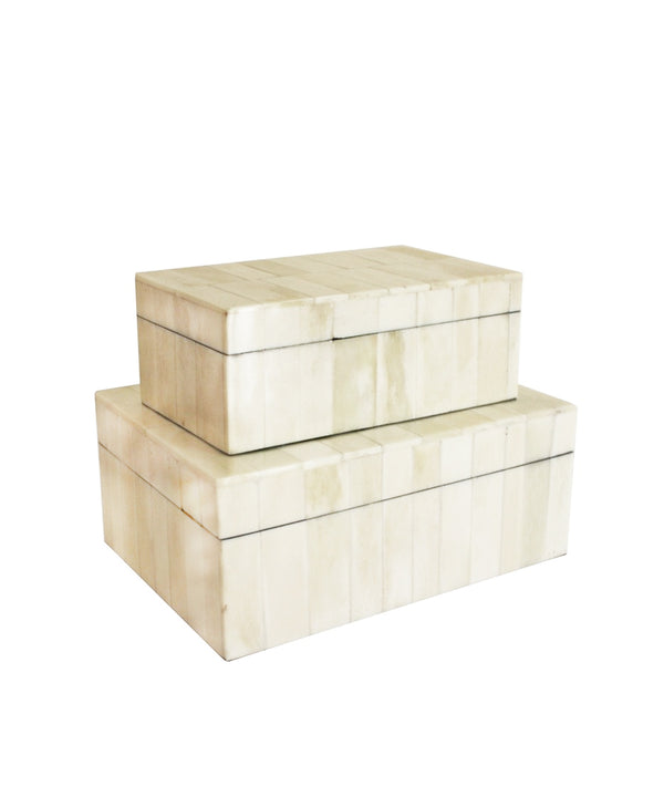 Bone Clad Storage Box