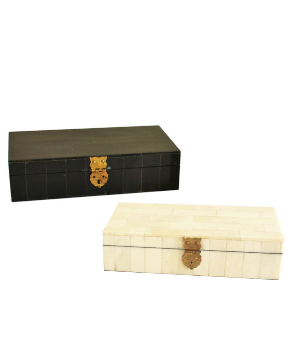 Bone Storage Boxes with Brass Latch