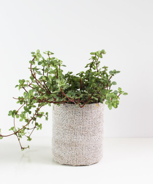 Burlap Wrapped Glass Vase, White Wash