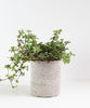 Burlap Wrapped Glass Vase, White Wash