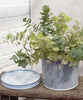Culver Ridge Planter