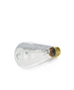 Edison Light Bulb