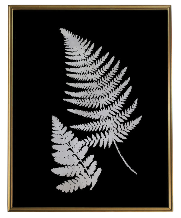 Shadow Fern Study No. 2, Brass Frame