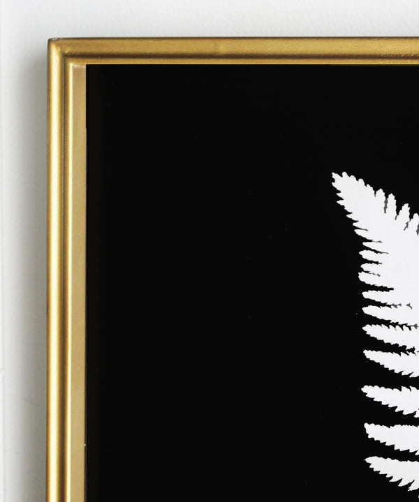 Shadow Fern Study No. 2, Brass Frame
