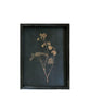 Framed Pressed Botanical Prints