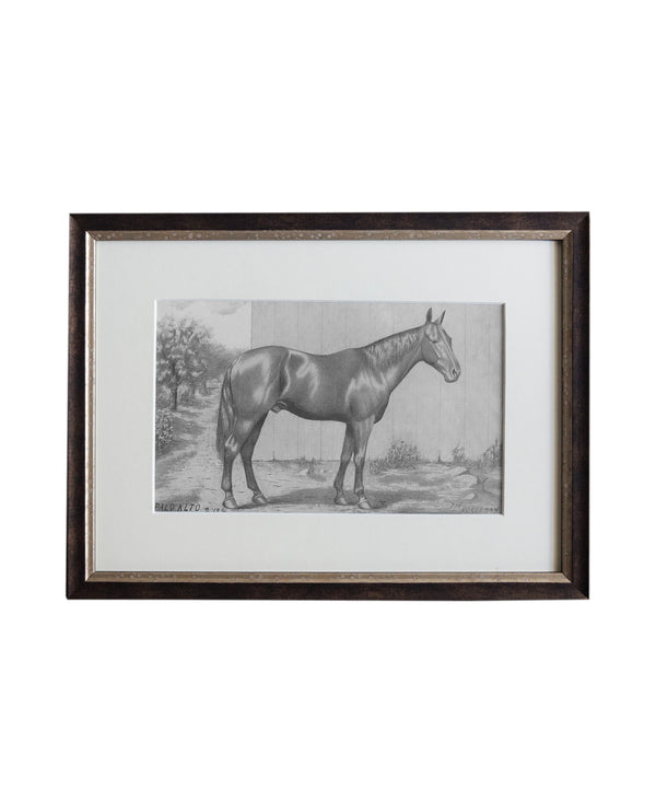 Vintage Horse Print