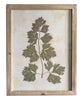 Pressed Wildflower Botanical Prints