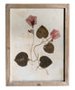 Pressed Wildflower Botanical Prints