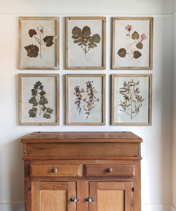 Pressed Wildflower Botanical Print, No. 1